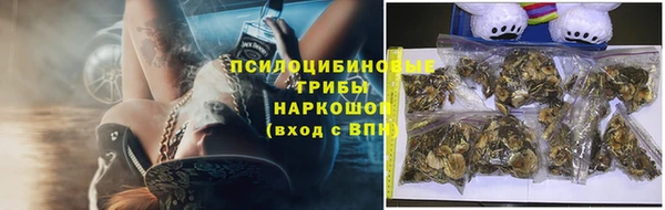 МДПВ Верея