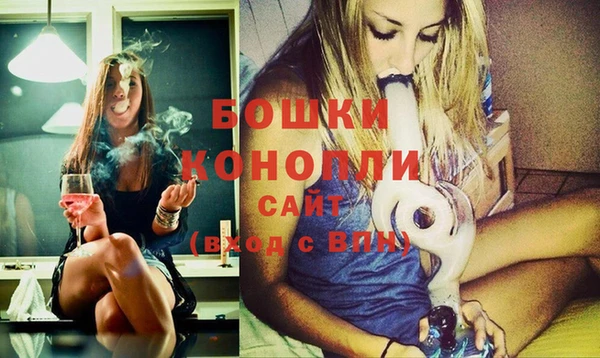 молекула духа Верхний Тагил