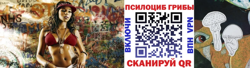 blacksprut tor Зуевка Псилоцибиновые грибы мицелий